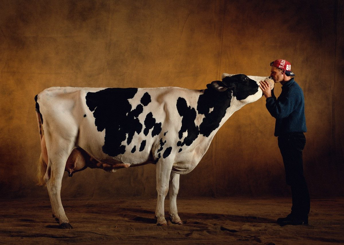 Masterclass photographie YAB vache