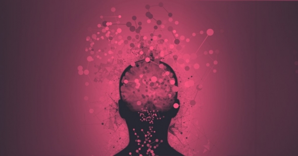 Neurosciences et écriture : comment votre cerveau devient un allié créatif